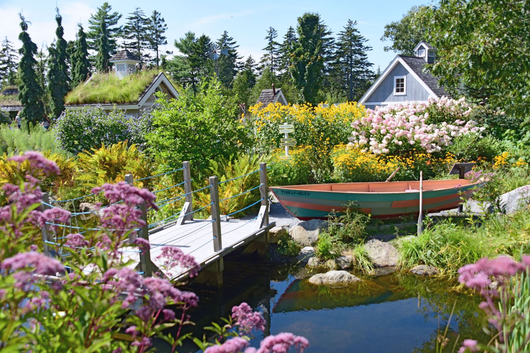 Garden view